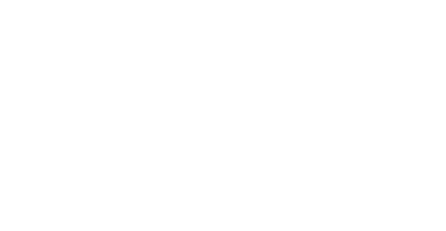 Two Guys USA
