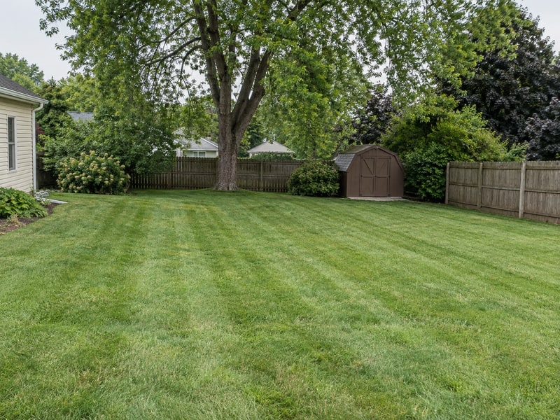Freshly mown backyard lawn with subtle mowing stripes