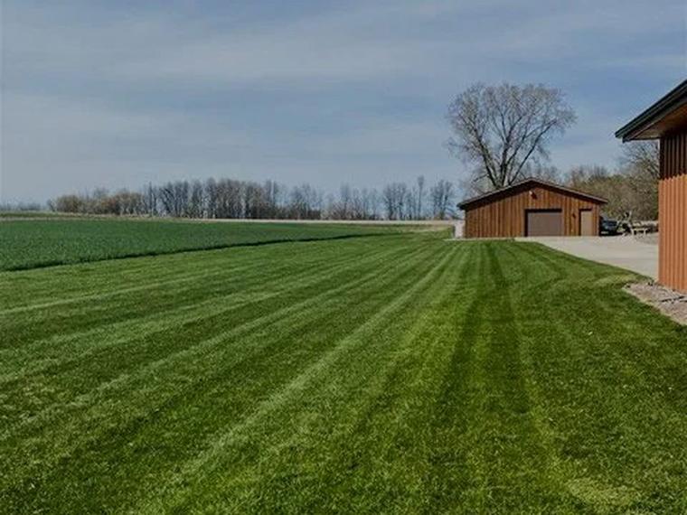 Freshly mown lawn with clean mowing stripes beside a shed