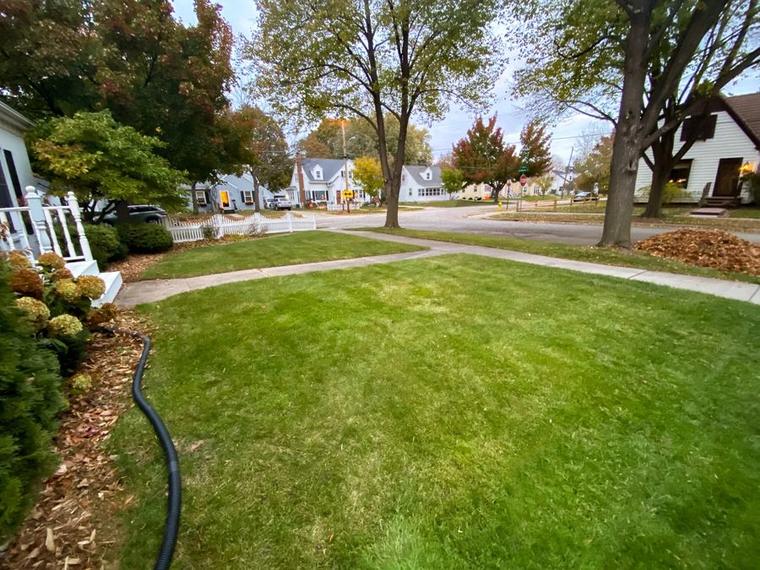 The same front yard cleared of leaves and mown