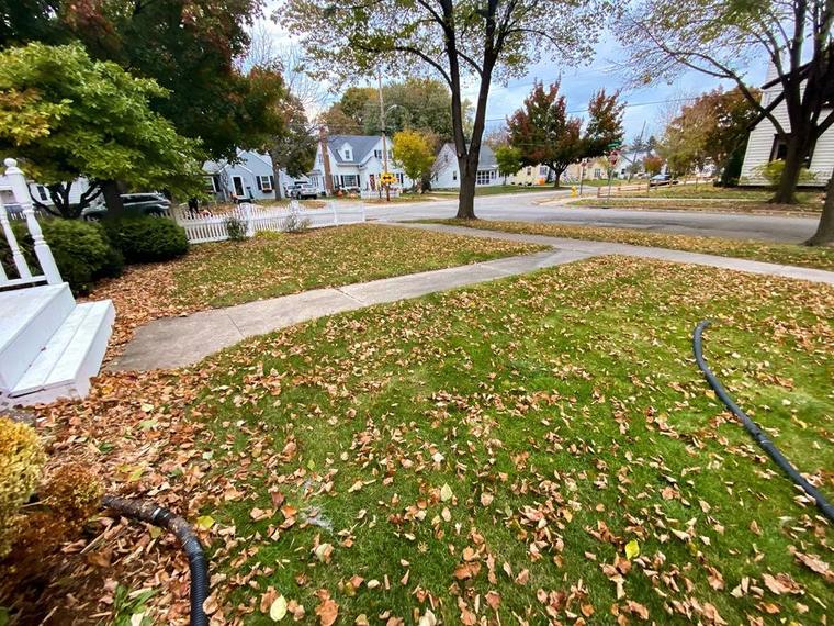 Front yard buried in autumn leaves before cleanup