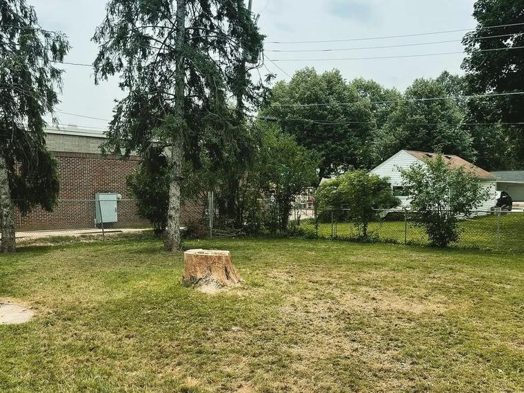 The same yard after the tree was removed and the stump ground