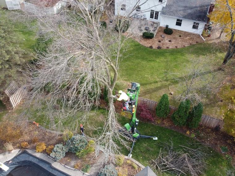 Aerial view of a tree being craned out of a Green Bay back yard